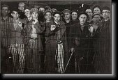 Margaret Bourke-Whites famous photograph at the liberation of Buchenwald. * 427 x 283 * (69KB)